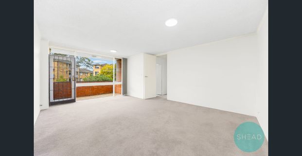 COSY AND AFORDABLE UNIT IN CHATSWOOD - Photo 1
