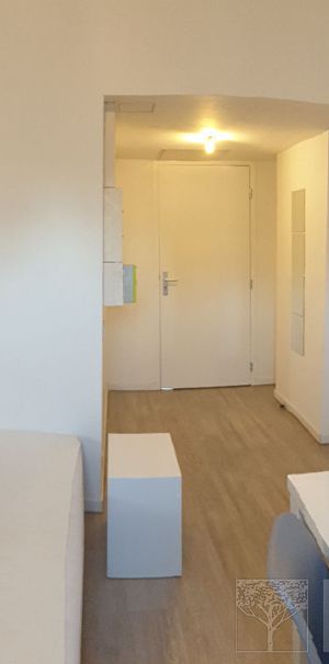 Apartment - Photo 1