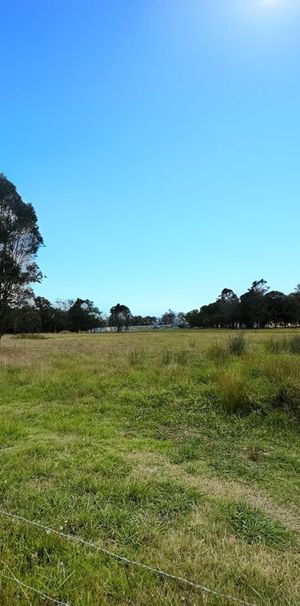 20 ACRES OF LAND IN GREAT LOCATION - Photo 1