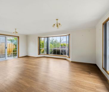 Spacious, Light-Filled Family Home in Peaceful Old Beach - Photo 1