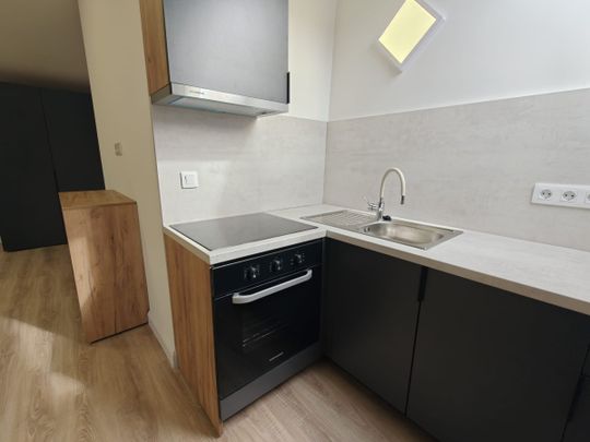 Modern studio apartment for rent, located a 10-minute walk from the University of Medicine and Pharmacy and a 10-minute walk from the University of Agricultural Sciences and Veterinary Medicine - Fotografie 1