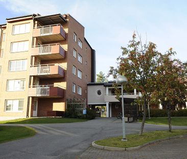 Stackgatan, Skellefteå - Foto 5