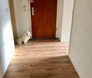 Bergneustadt: 3Zimmer Wohnung ab sofort - Photo 6