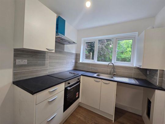 Meadowview Road, London SE6 - Photo 1