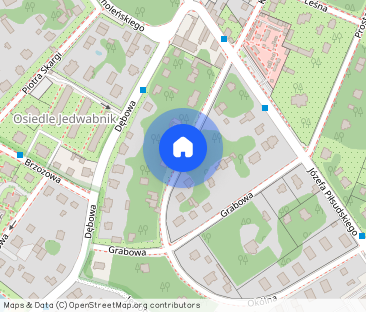 Mieszkanie 53 m2 na wynajem, 2 pokoje, I piętro, centrum Milanówek - Zdjęcie 1