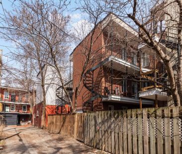 Appartement à louer - Montréal (Le Plateau-Mont-Royal) (Le Plateau-... - Photo 3
