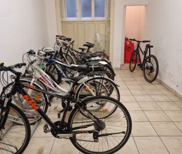 Sanierte Altbauwohnung Nahe Alois-Drasche-Park in ruhiger Lage unbe... - Foto 1