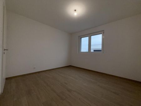 4 MAGNIFIQUES NOUVELLES VILLAS AU BOUVERET TERRASSE ET JARDIN 1 ER LOYER GRATUIT - Photo 2