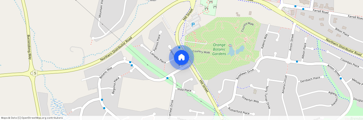 4 Japonica Place, NSW 2800, Orange