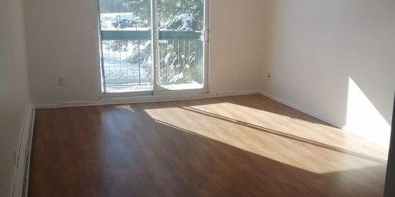 GRAND 2 CHAMBRES CHAUFFE ECLAIRE - Photo 3