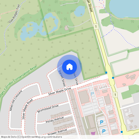 22 Vandervoort Drive Unit# Bsmt, Richmond Hill