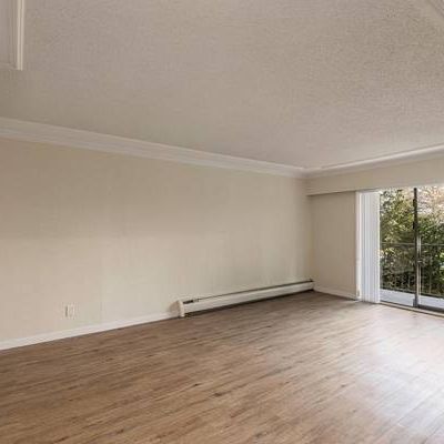 Renovated 1 Bedroom Suite - November 1st - $500 Gift Card! - Photo 4