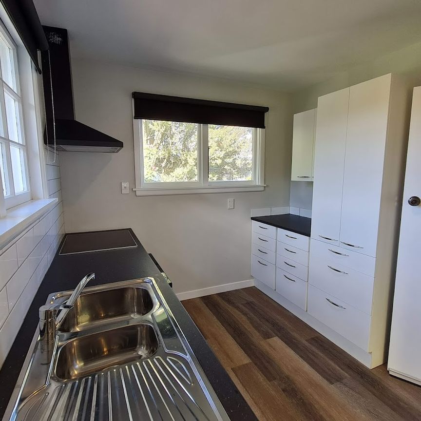 12 Lothian Street, Ilam - Photo 1