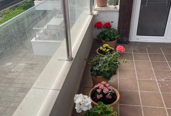 Carrer de les Violetes, 2, 07400 Alcúdia, Illes Balears, Spain, Alcúdia, Balearic Islands 07400