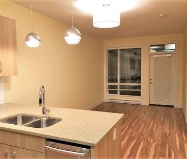 THE RADIUS - 309 - Rad309 - Photo 2