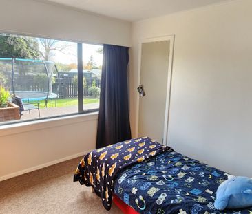 27 Antonio Street, Stratford, New Plymouth - Photo 4
