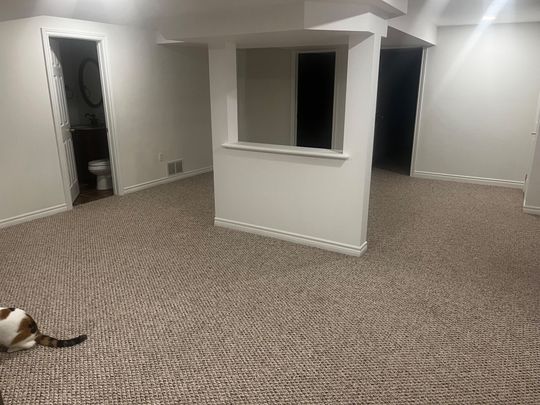 For Lease - 290 Paxton Crescent Unit# Basement, Newmarket, Ontario - Photo 1