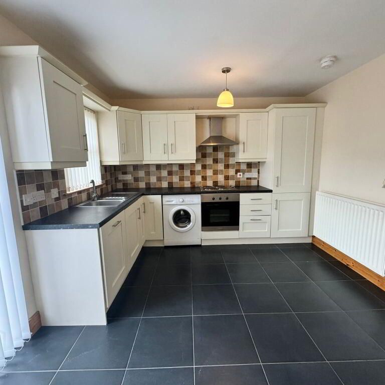 49 Demesne Grove, Moira, BT67 0DS - Photo 1