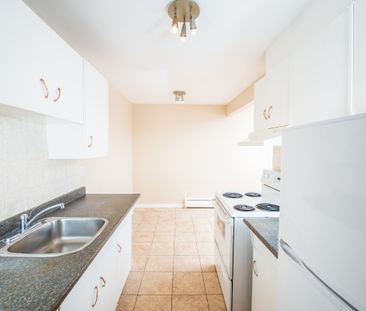 Alexander Apartments - Photo 6