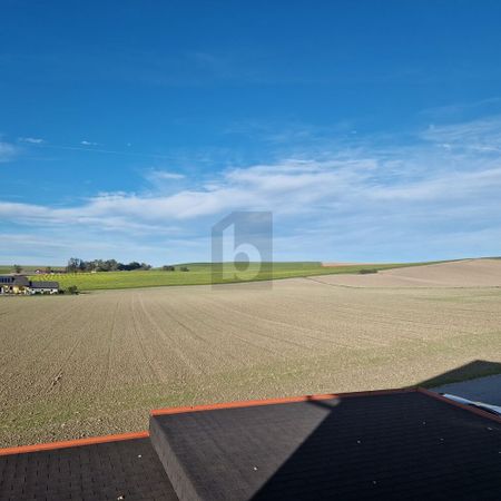 SCHÖNE RAUMAUFTEILUNG MIT TERRASSE UND GARTEN - Foto 4