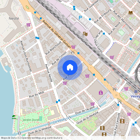 1800, Vevey, Rue Du Midi, 33