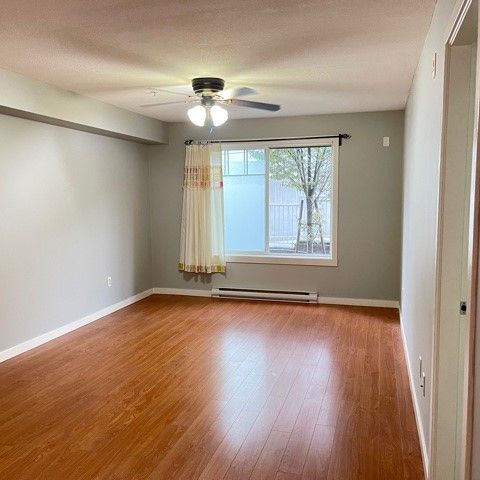 1 Bedroom at Old Yale Heights! - Photo 1