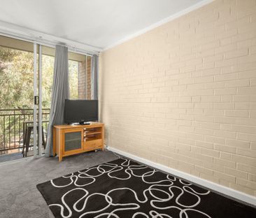 Close to the Action!! - Photo 2