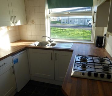 3 bedroom semi-detached house to rent - Photo 3