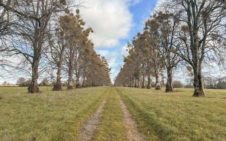 3 bedroom character property to rent - Photo 4