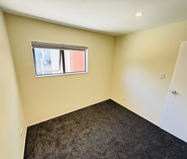 RANDWICK PARK, 3 BEDROOMS - Photo 6