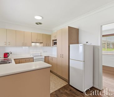 Freshly Renovated 3-Bedroom Home - Photo 5