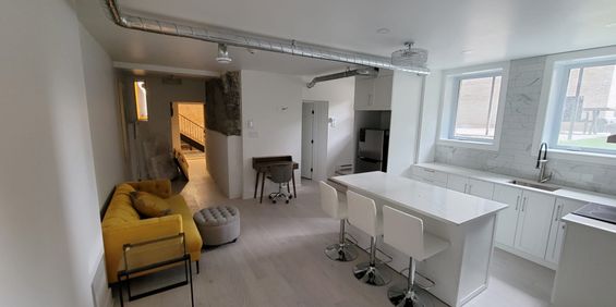 McGill Area - Superb 4 1/2 Furnished - Photo 3