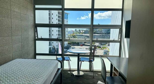 Central Auckland Studio Apartment! - Photo 1