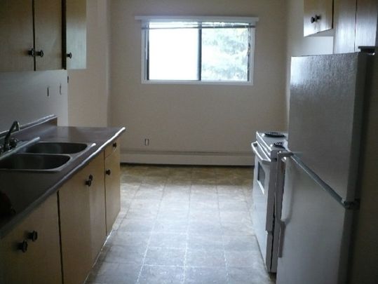 Pet Friendly 2 Bedroom Unit with In-Suite Laundry!! - Photo 1