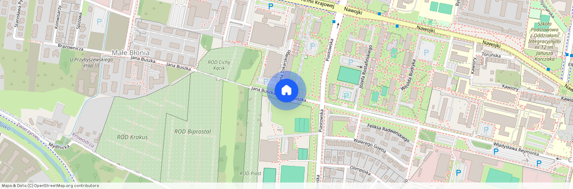 ul. Jana Buszka, Małe Błonia, Krowodrza, Kraków, małopolskie