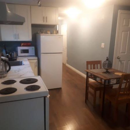 1 Br, 1 Bathroom Basement Suite for Rent - Photo 4