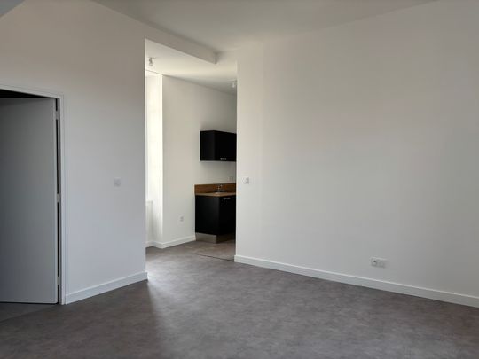 Location Appartement 2 pièces 36m² CHARLIEU 42190 - Photo 1