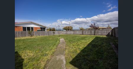 Fresh as a daisy! - Photo 2