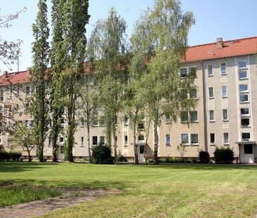 Frisch sanierte rundum Wohlfühlwohnung… - Foto 3