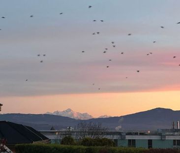 For rent – Beautiful 4.5 room apartment with panoramic view in Nyon - Foto 6