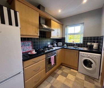 20 Birch Hill Meadows, Antrim, BT41 2TY - Photo 6