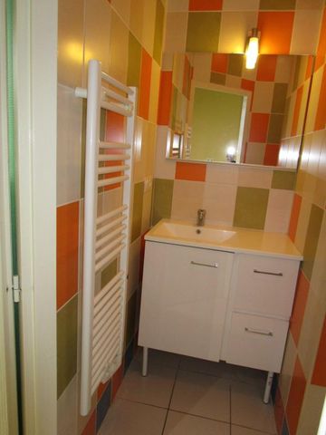 Location Appartement 1 pièce Meublé 20m² RISCLE 32400 - Photo 5