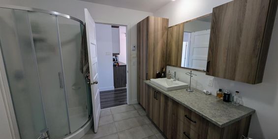 Immeuble - 1530-1540 Rue Lionel-Giroux, Drummondville Appartement 5 Et Demi à Louer - Drummondville - Photo 3