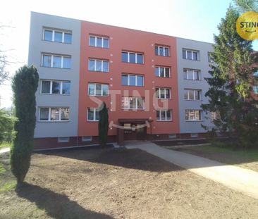 Byt 2+1 k pronájmu, Třinec / Dolní Líštná, ulice Habrová - Photo 5