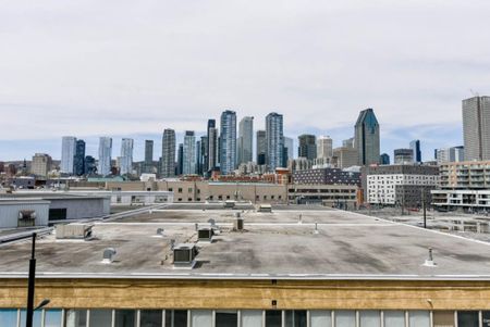 1400 Rue Ottawa, app.303B, H3C 0Y9, H3C 0Y9, Montréal - Photo 4