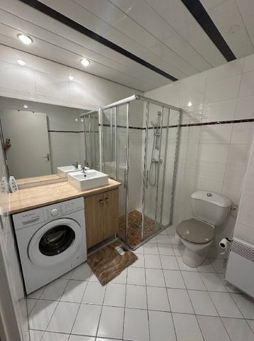 Location Appartement 1 pièce 20m² BOIS LE ROI 77590 - Photo 3