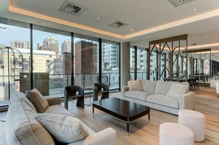 Apartment for rent, Montréal (Ville-Marie) - Photo 4