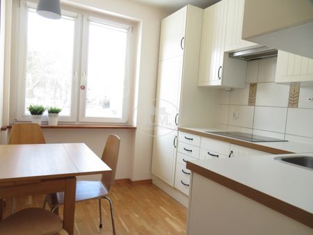 ZIELONO/CICHO/OSOBNE 2 POKOJE/OSTRÓW TUMSKI/BALKON - Zdjęcie 3
