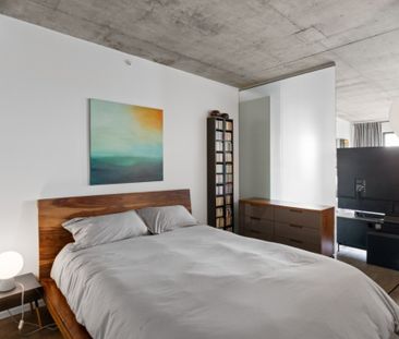 1085 Rue Smith, app.1010, H3C 0L9, H3C 0L9, Montréal - Photo 3