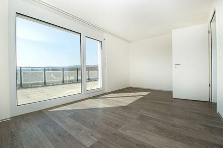 Traumhafte Attikawohnung mit grosser Terrasse - Photo 3